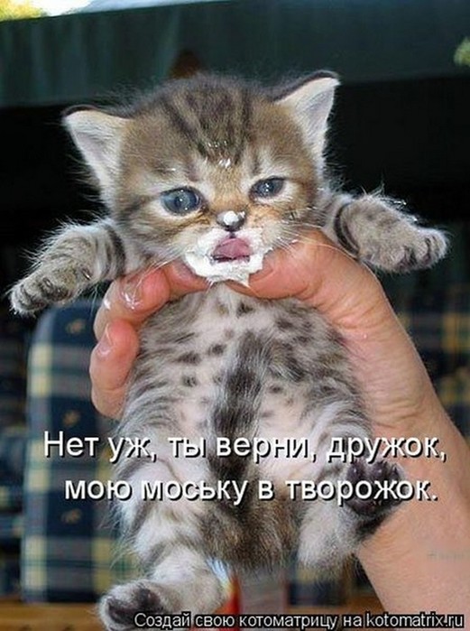 4743317_i5672 (521x700, 94Kb)
