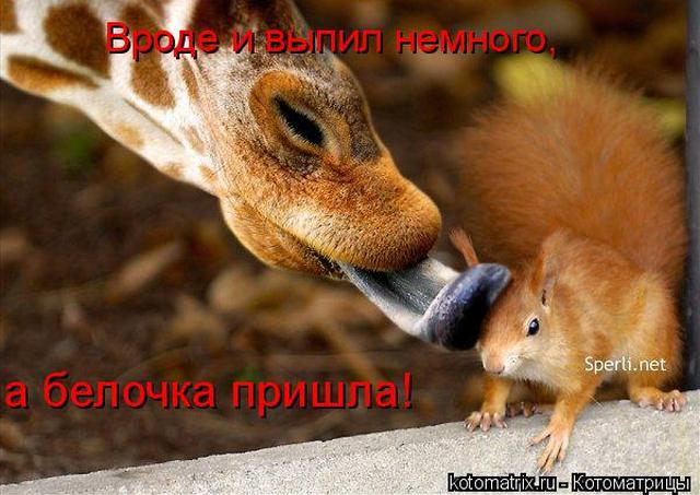 4743317_6R (640x453, 52Kb)