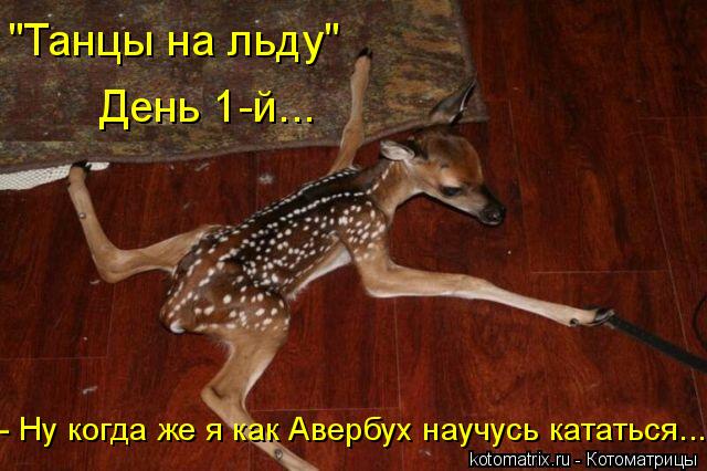 4743317_LG (640x426, 52Kb)