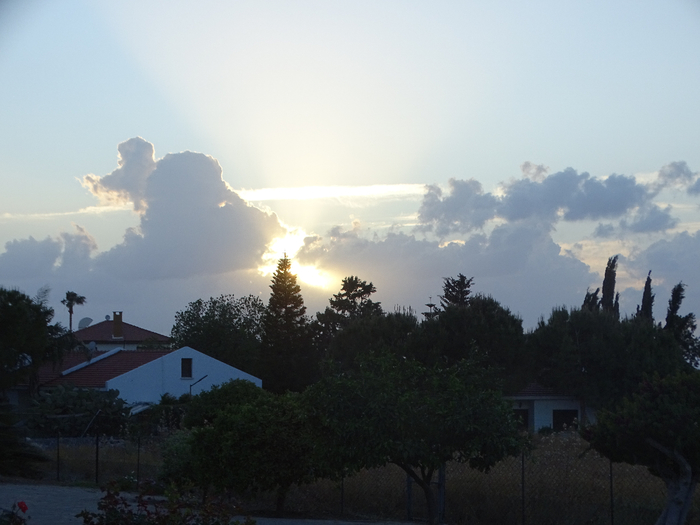 DSC00205 (700x525, 278Kb)
