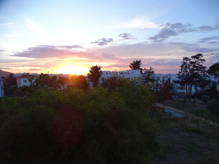 DSC00222 (700x525, 340Kb)
