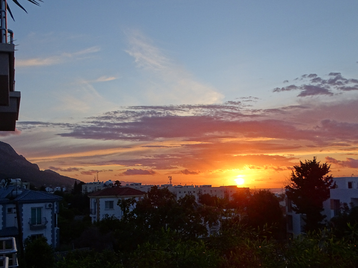 DSC00228 (700x525, 340Kb)