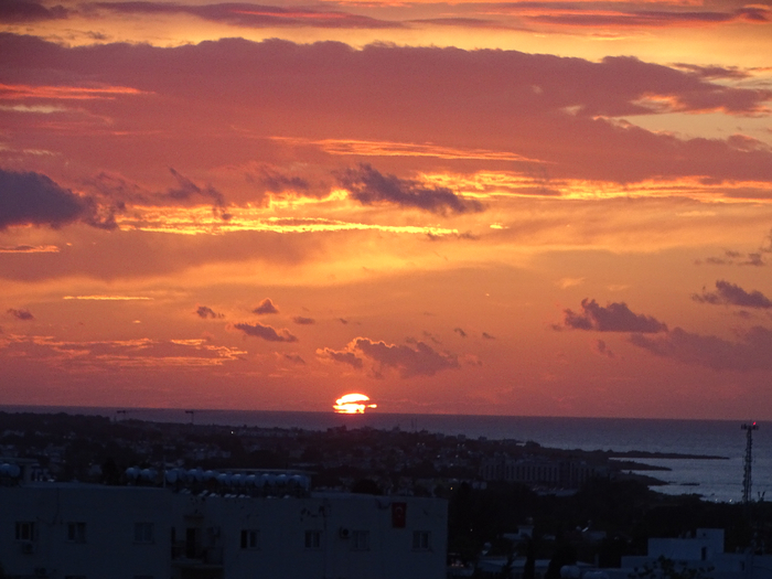 DSC00235 (700x525, 357Kb)