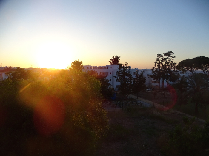 DSC00349 (700x525, 275Kb)