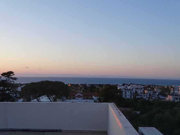 DSC00356 (700x525, 268Kb)