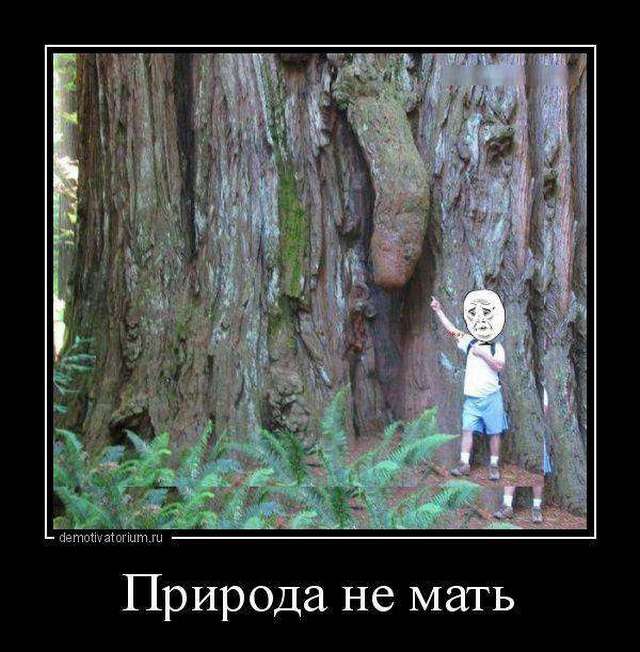 4743317_1442440367_09 (640x652, 60Kb)