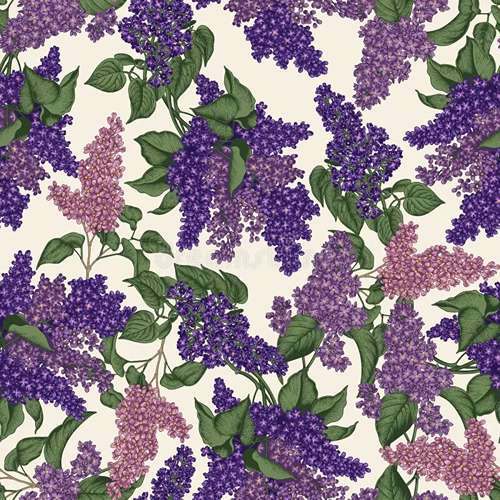 5642916_64 (500x500, 64Kb)