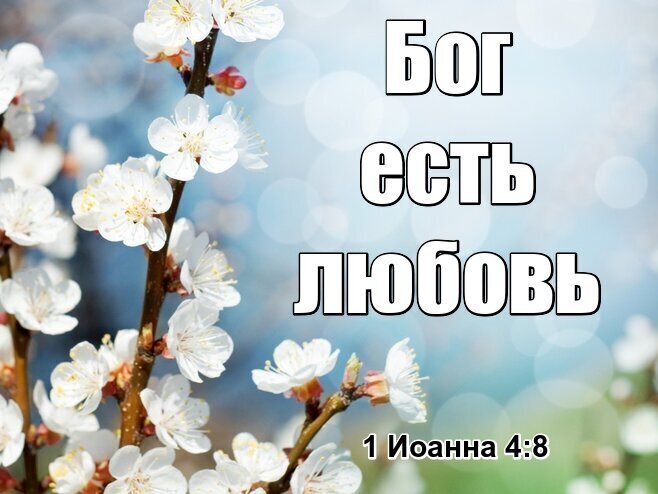 HLsznnzvFZYS (658x494, 57Kb)