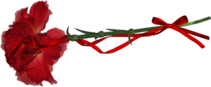 rg (300x124, 35Kb)