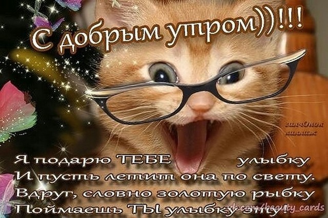4743317_U_1Cu41doW1CGoQ58 (640x426, 102Kb)