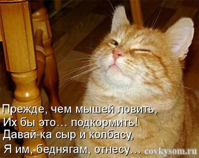 4743317_i24621 (640x507, 80Kb)
