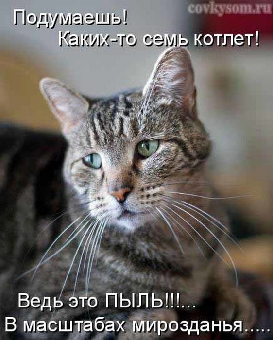 4743317_i24617 (562x700, 91Kb)
