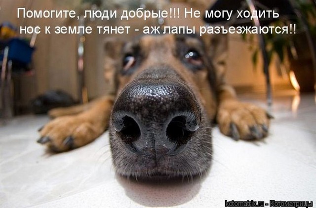4743317_i24619 (640x422, 62Kb)