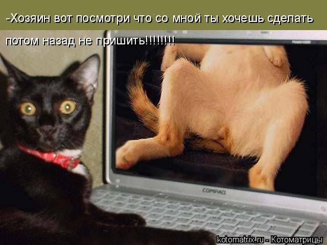 4743317_Sn (640x480, 42Kb)