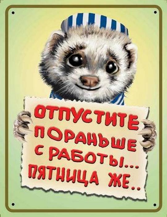 4743317_i24504 (541x700, 54Kb)