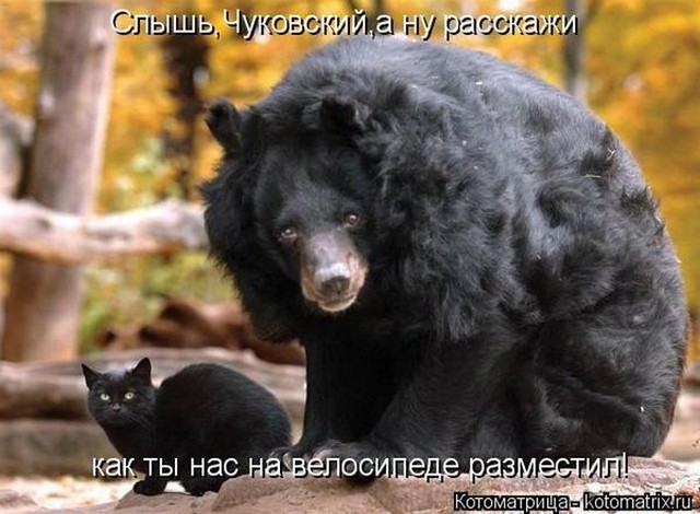 4743317_i5670 (640x470, 78Kb)