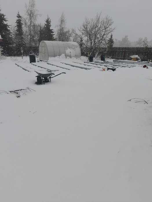 IMG-20250502-WA0001 (525x700, 17Kb)
