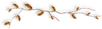 oie_31952133c0qnKT6-2 (334x97, 25Kb)