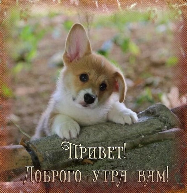 4743317_1535746150631_16 (640x659, 104Kb)