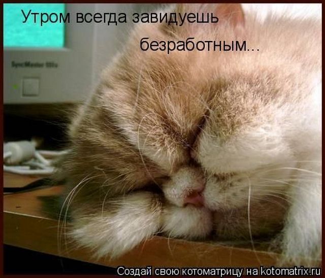 4743317_s3img_4528859_21931_1 (640x547, 58Kb)
