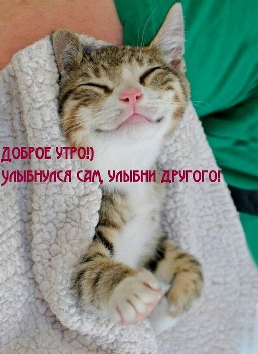 4743317_image_1 (509x700, 86Kb)