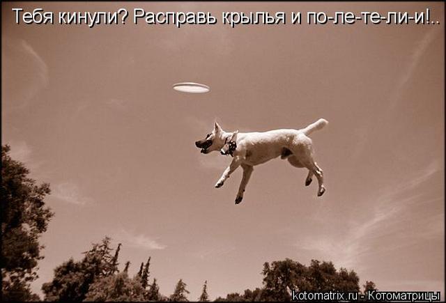 4743317_KV (640x435, 30Kb)