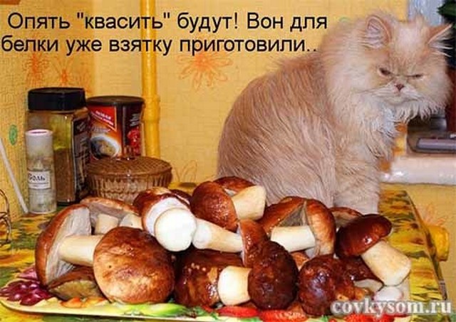 4743317_i24610 (640x453, 83Kb)