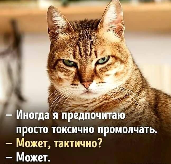  (647x623, 71Kb)