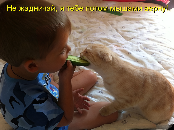  (700x522, 475Kb)