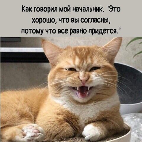  (480x480, 53Kb)