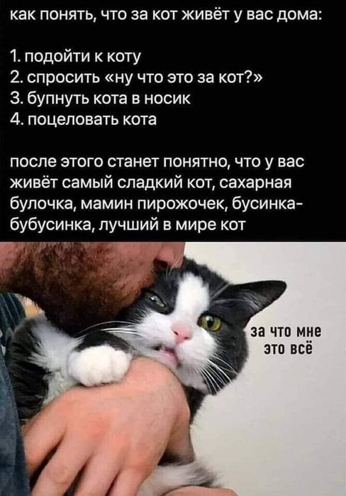  (488x700, 76Kb)