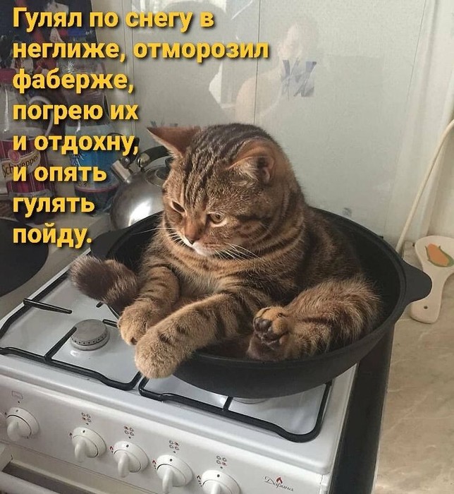  (644x700, 123Kb)