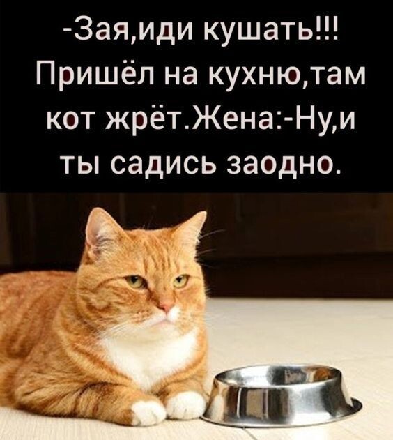  (564x631, 58Kb)