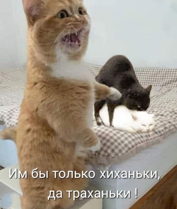  (591x700, 99Kb)