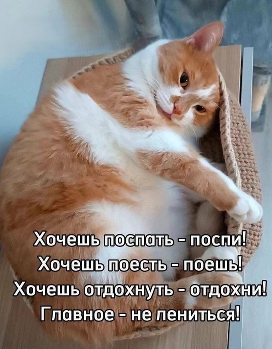  (545x700, 132Kb)
