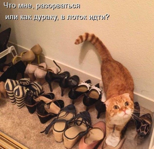  (640x620, 98Kb)