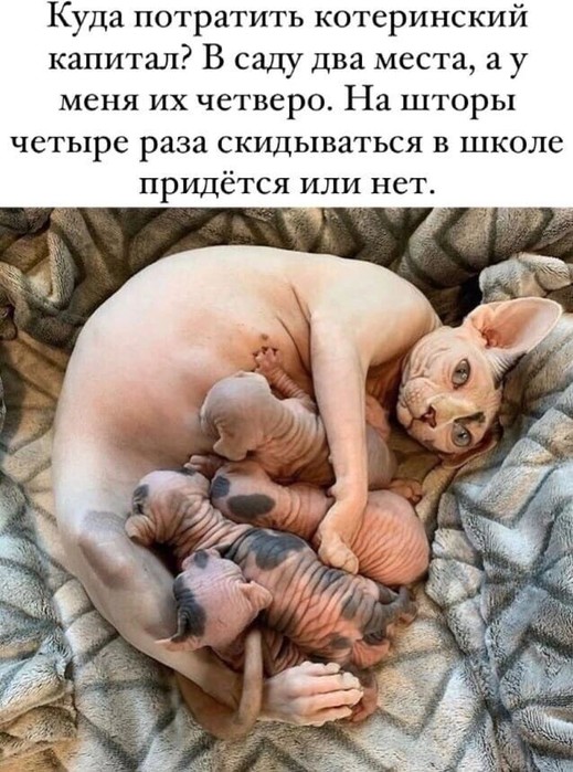  (519x700, 114Kb)