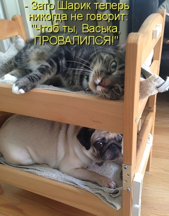  (548x700, 137Kb)