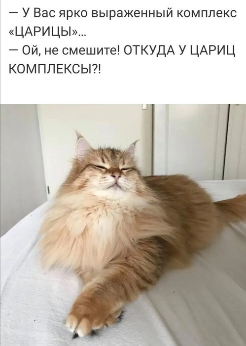  (499x700, 56Kb)