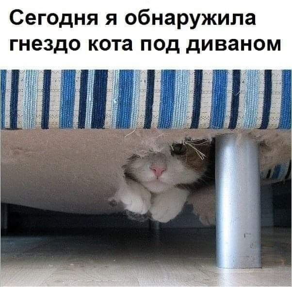  (602x590, 82Kb)