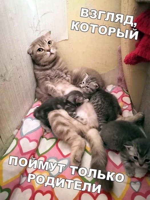  (525x700, 93Kb)