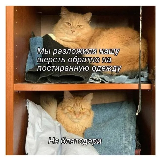 (640x640, 525Kb)