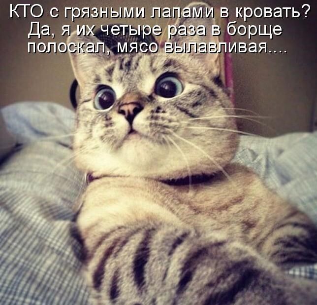  (644x618, 82Kb)
