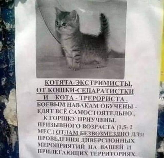  (640x616, 71Kb)