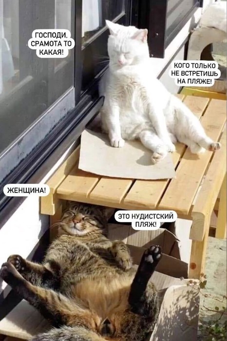  (466x700, 86Kb)
