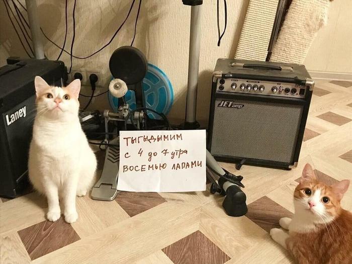  (700x525, 63Kb)
