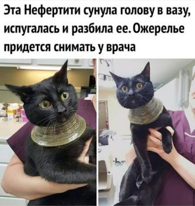  (662x700, 94Kb)