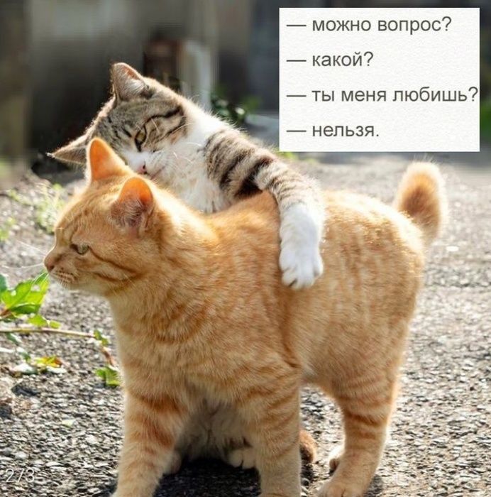  (692x700, 171Kb)
