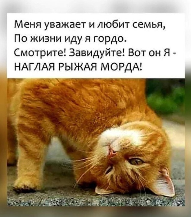  (615x700, 127Kb)