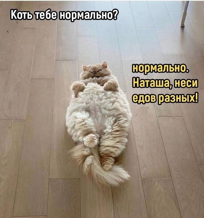  (653x700, 137Kb)